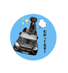 黒シュナくろまめ＆メイ（個別スタンプ：17）