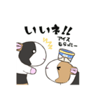 もるもってぃー★夏スタンプ（個別スタンプ：20）