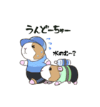 もるもってぃー★夏スタンプ（個別スタンプ：24）