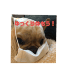 もんちゃんです公開版（個別スタンプ：3）