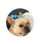 もんちゃんです公開版（個別スタンプ：7）