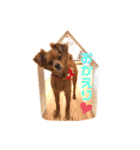 てぃてぃ姉さん♡（個別スタンプ：5）