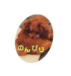 てぃてぃ姉さん♡（個別スタンプ：8）