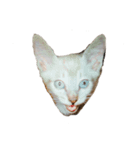 りーちゃん 猫（個別スタンプ：4）