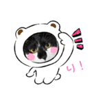 ちぃにゃん（個別スタンプ：2）