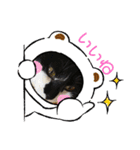 ちぃにゃん（個別スタンプ：3）