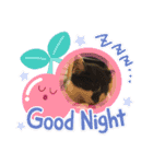 ちぃにゃん（個別スタンプ：10）