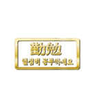大体：金048 漢字3/KR（個別スタンプ：21）