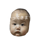ひまちゃんスタンプ⑵（個別スタンプ：5）
