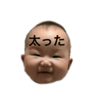 ひまちゃんスタンプ⑵（個別スタンプ：14）