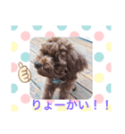 可愛いわんちゃんスタンプ♪（個別スタンプ：4）