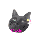 ちゃんまつスタンプ④（個別スタンプ：6）
