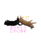 ちゃんまつスタンプ④（個別スタンプ：10）