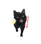 ちゃんまつスタンプ④（個別スタンプ：15）