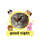 シンプルねこスタンプ（個別スタンプ：2）