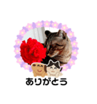 シンプルねこスタンプ（個別スタンプ：4）