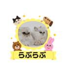 シンプルねこスタンプ（個別スタンプ：5）