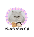 シンプルねこスタンプ（個別スタンプ：7）