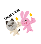 シンプルねこスタンプ（個別スタンプ：8）