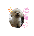 可愛動物們的日常（個別スタンプ：3）
