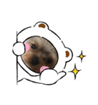可愛い❤️ワンちゃん新（個別スタンプ：1）