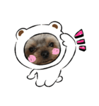 可愛い❤️ワンちゃん新（個別スタンプ：8）