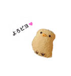 ちびバッチのスタンプ！（個別スタンプ：7）