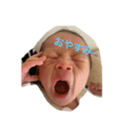 幸珠スタンプ（個別スタンプ：1）