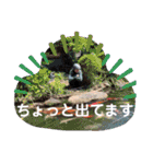 野毛村（個別スタンプ：23）