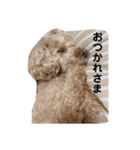 くっきー（会話）（個別スタンプ：6）