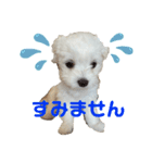マルチワのルクちゃんpart3（個別スタンプ：2）
