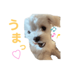 マルチワのルクちゃんpart3（個別スタンプ：4）