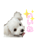 マルチワのルクちゃんpart3（個別スタンプ：5）