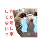 だいずの日常5（個別スタンプ：11）