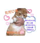 だいずの日常5（個別スタンプ：12）