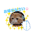 だいずの日常5（個別スタンプ：13）