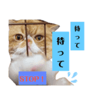 だいずの日常5（個別スタンプ：16）