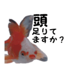金魚殿（個別スタンプ：8）