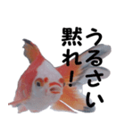 金魚殿（個別スタンプ：10）