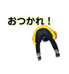 ちゃかちたスタンプ3（個別スタンプ：6）