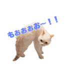 いさむスタンプIsamu stamp（個別スタンプ：6）