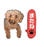 ぽんのの（個別スタンプ：20）