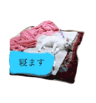 袋井在住かーくんのスタンプ（個別スタンプ：3）