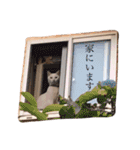 袋井在住かーくんのスタンプ（個別スタンプ：9）