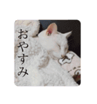 袋井在住かーくんのスタンプ（個別スタンプ：12）
