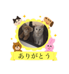 袋井在住かーくんのスタンプ（個別スタンプ：16）