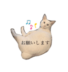 袋井在住かーくんのスタンプ（個別スタンプ：20）