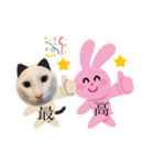 袋井在住かーくんのスタンプ（個別スタンプ：22）