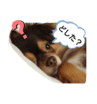 ないとすたんぷ（個別スタンプ：2）