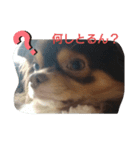 ないとすたんぷ（個別スタンプ：3）